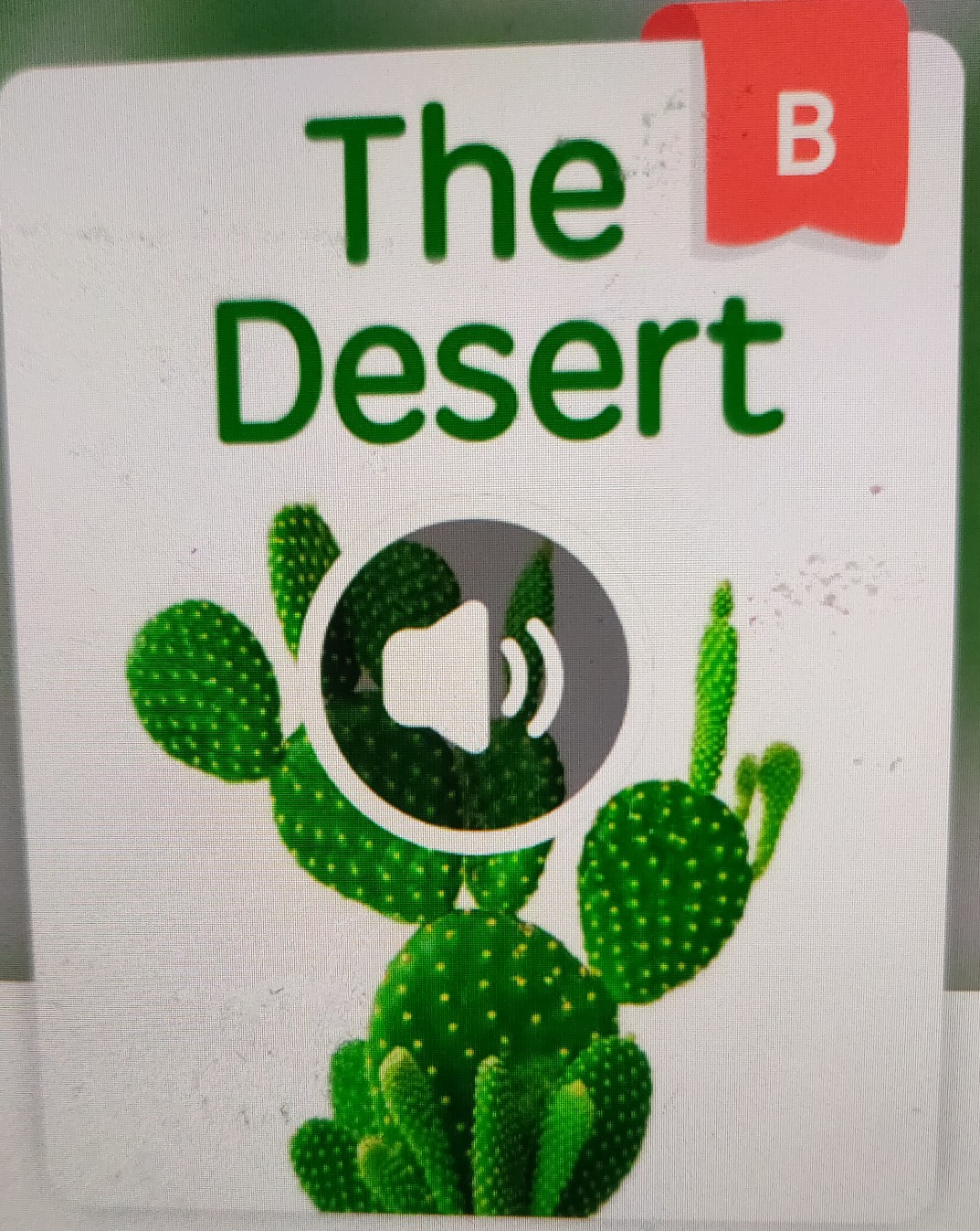 the desert