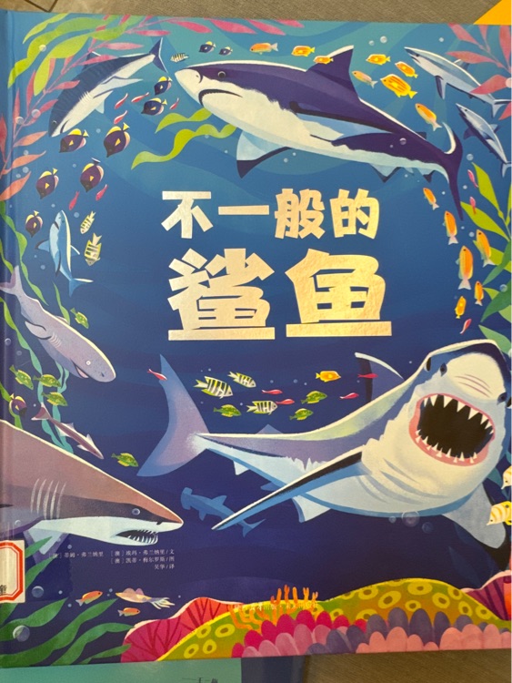 不一般的鯊魚
