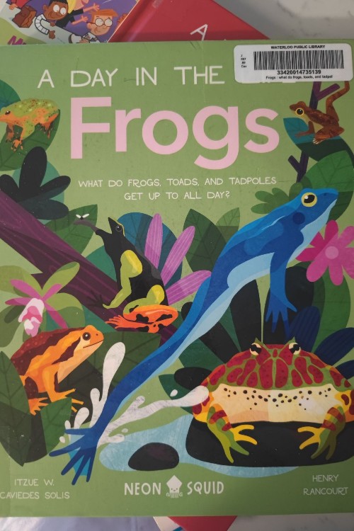 a day in the frogs