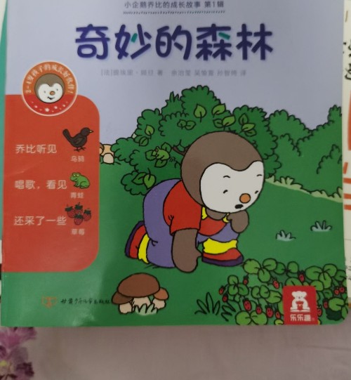 奇妙的森林