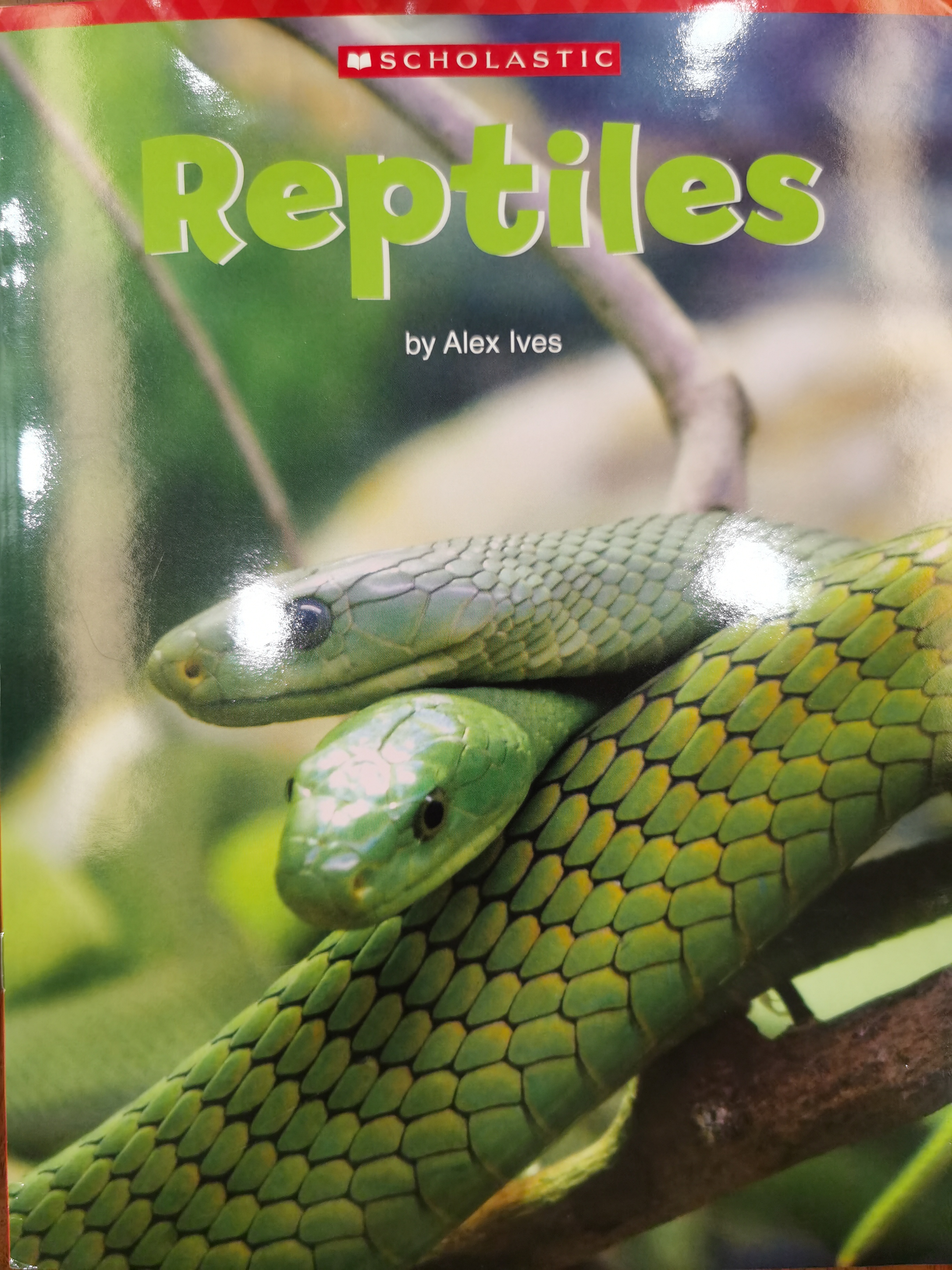 Reptiles