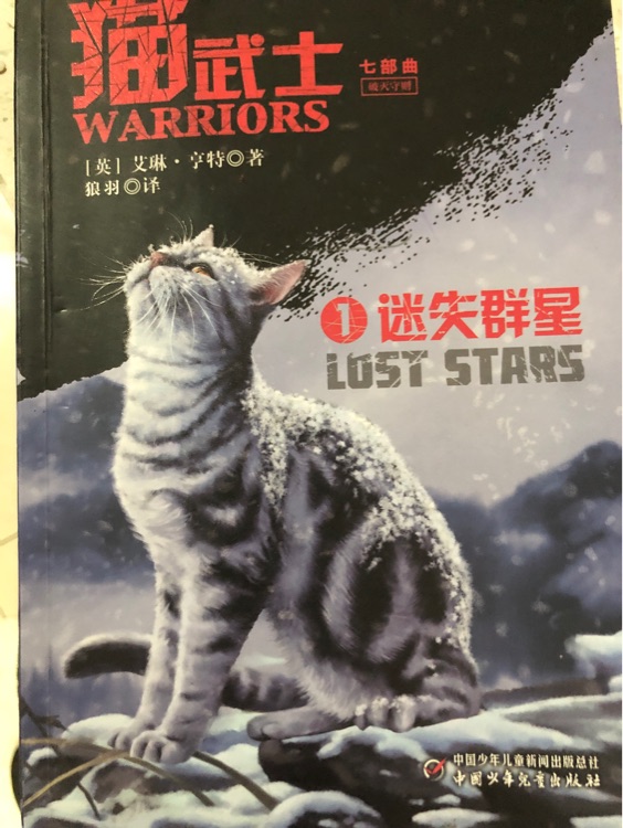 猫武士