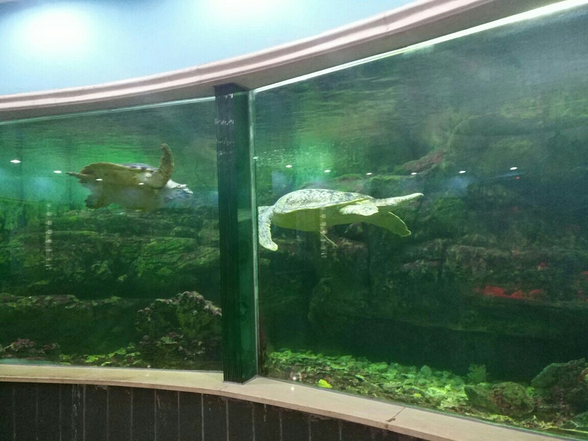 動物園一游