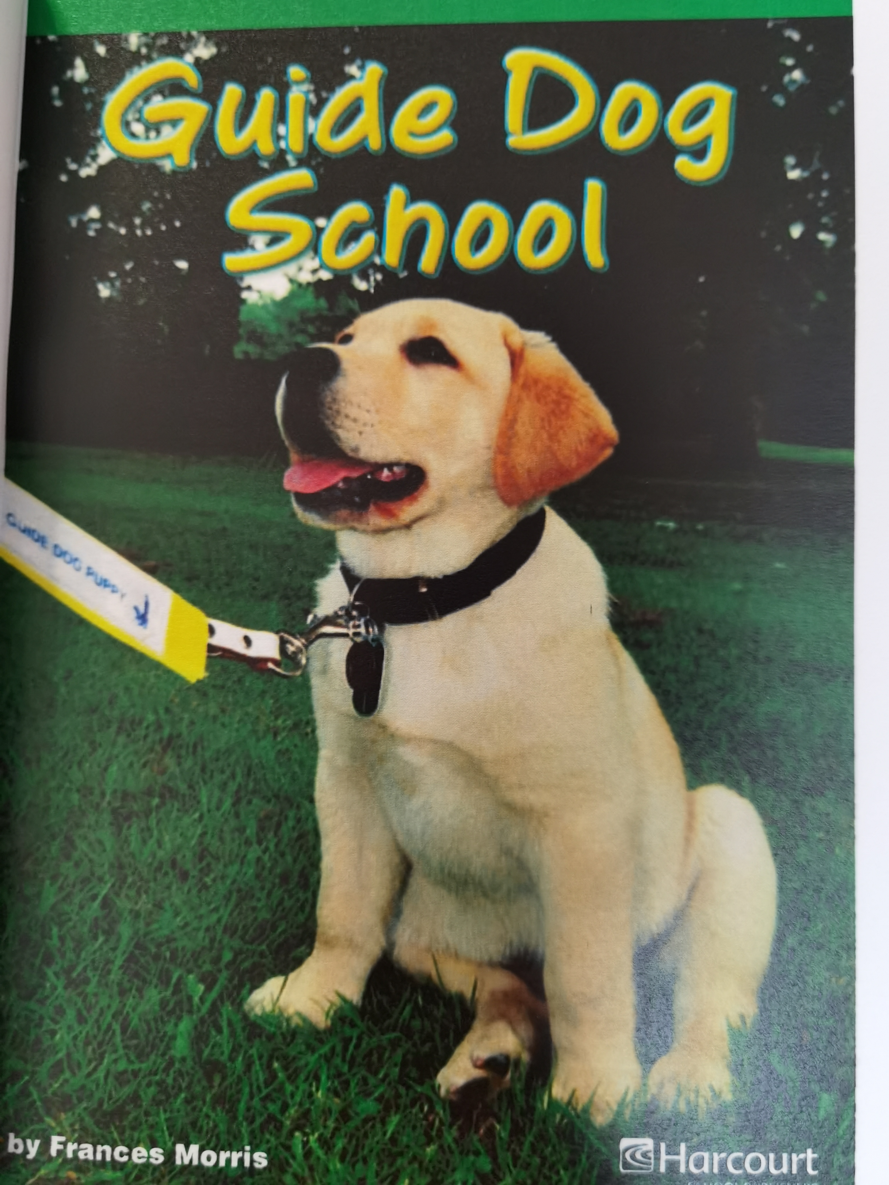 Guide dog school