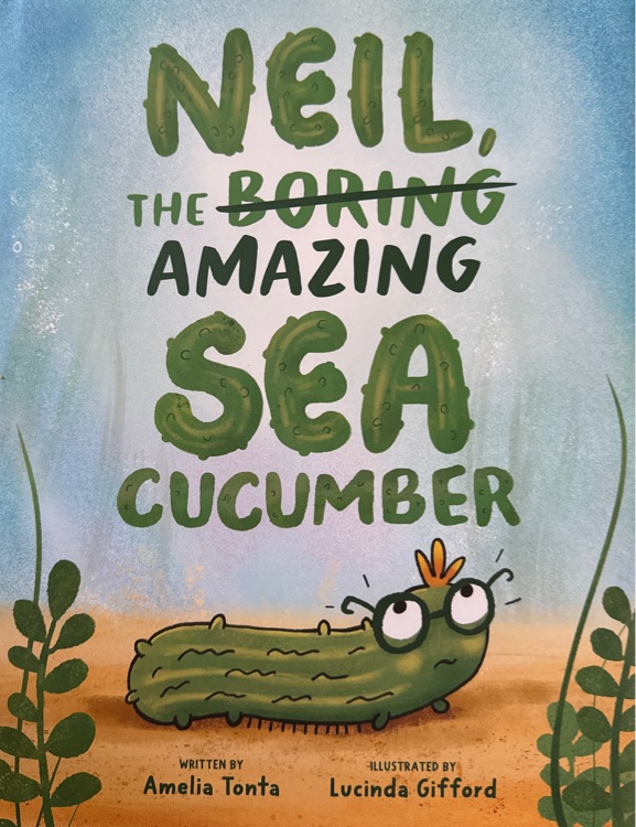 Neil The Boring Amazing Sea Cucumber