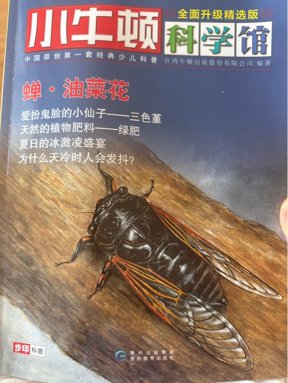 小牛頓科學(xué)館 蟬