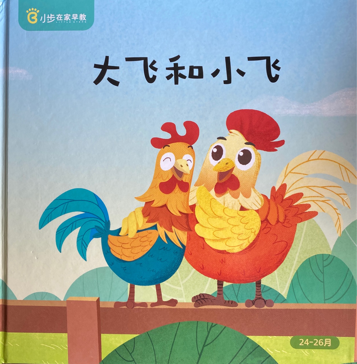 大飛和小飛