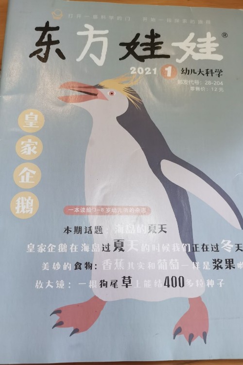 東方娃娃大科學(xué) 2021.01皇家企鵝