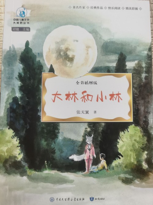 中國兒童文學(xué)大視野叢書--大林和小林》