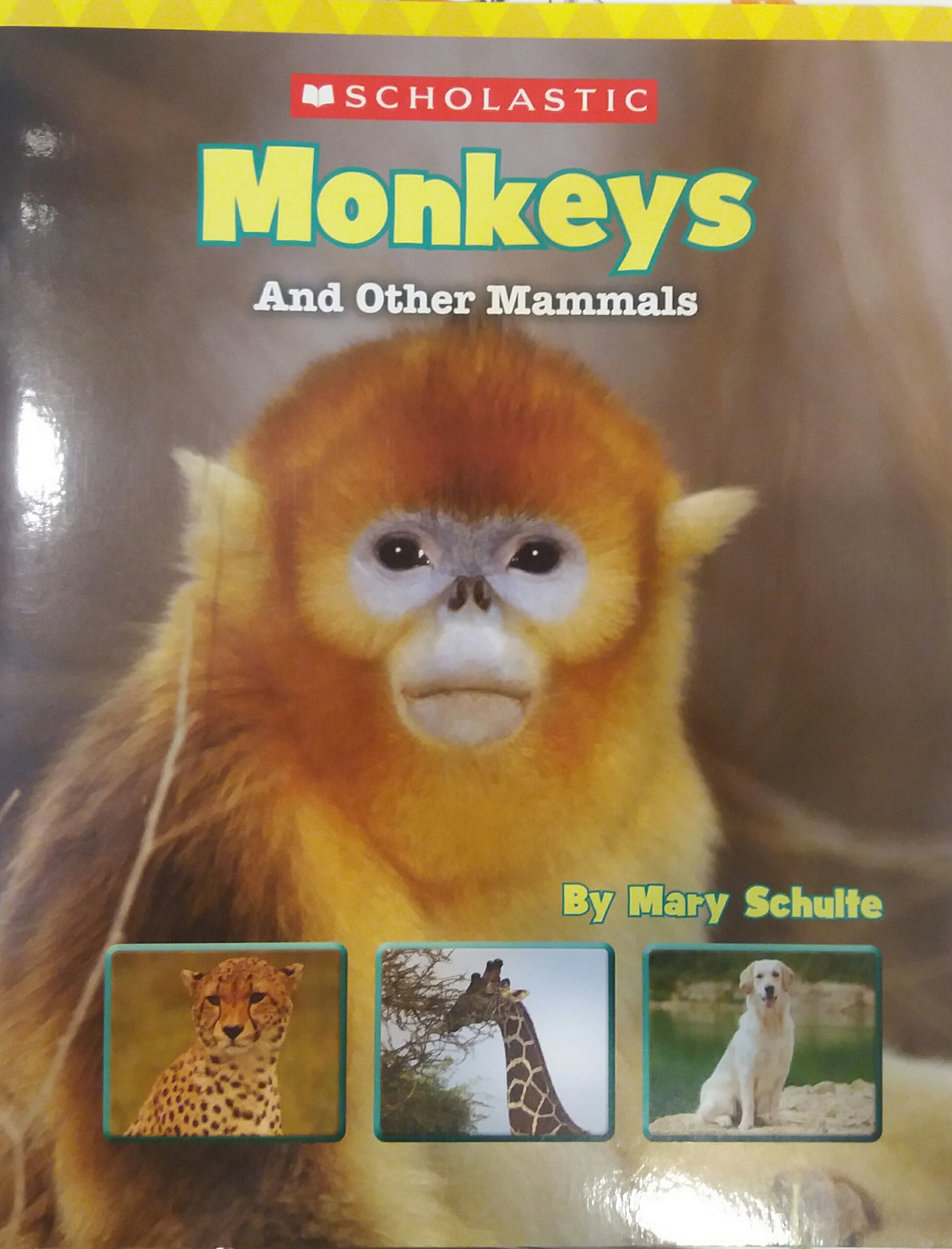 Monkeys and Other Mammals