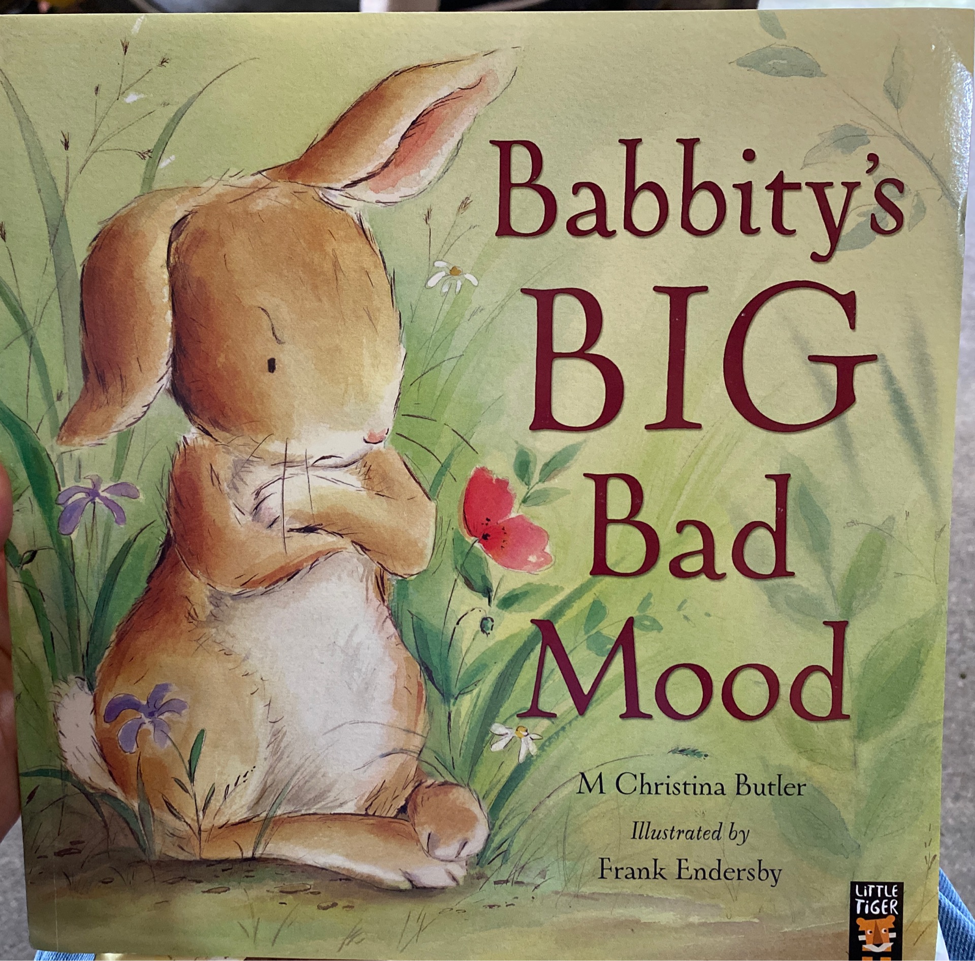 Babbity's Big bad mood