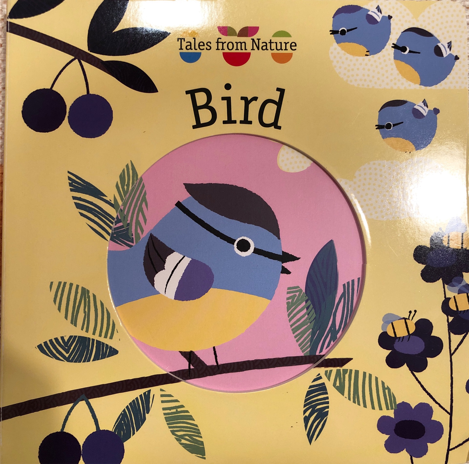 Bird Tales from nature