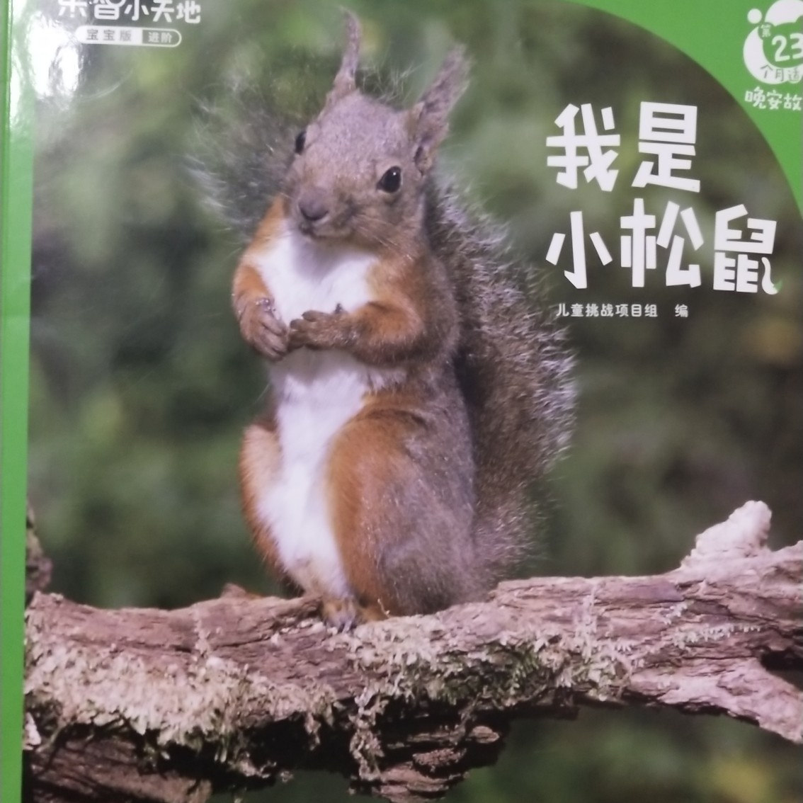 我是小松鼠