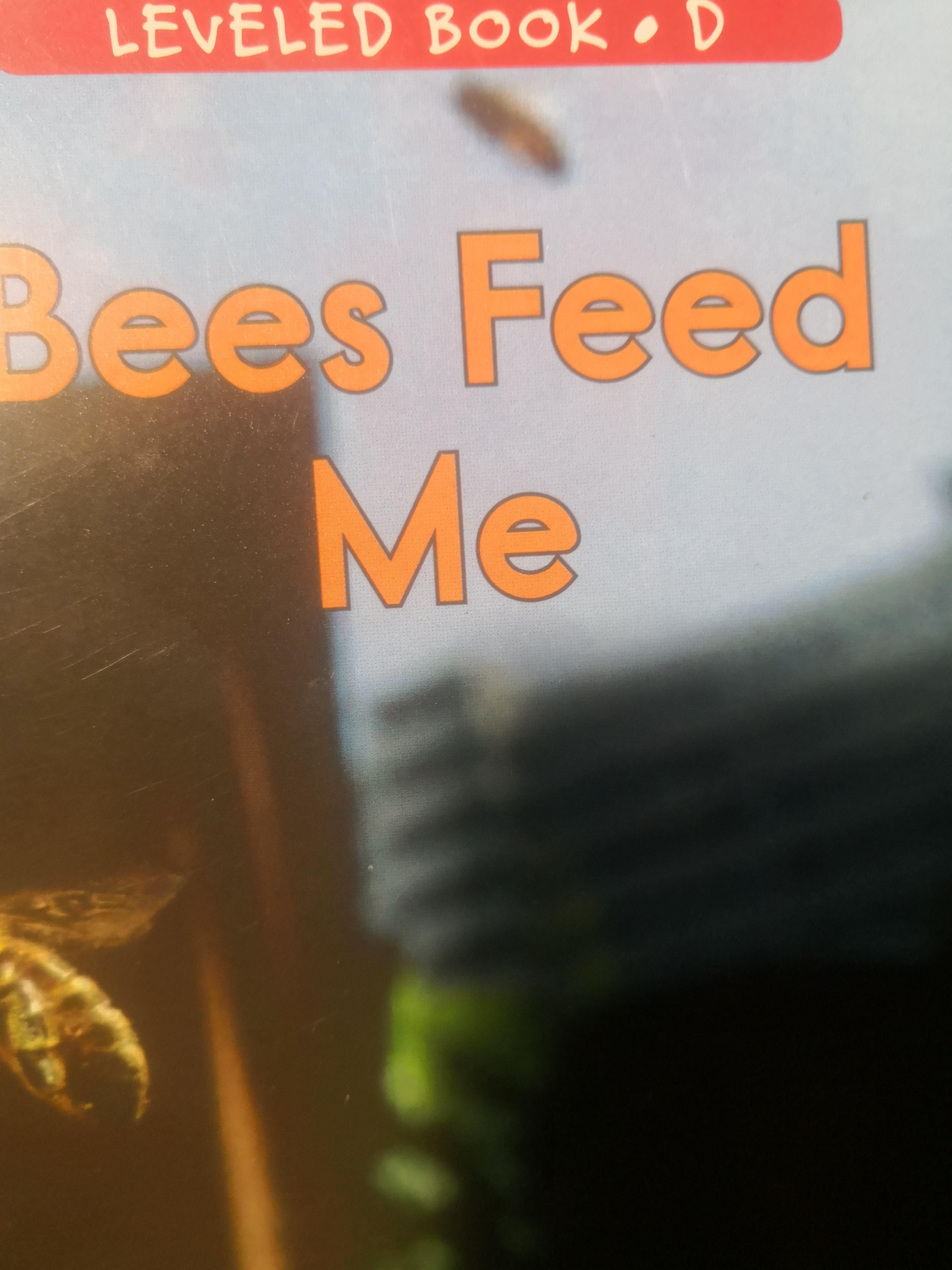 raz d bees feed me