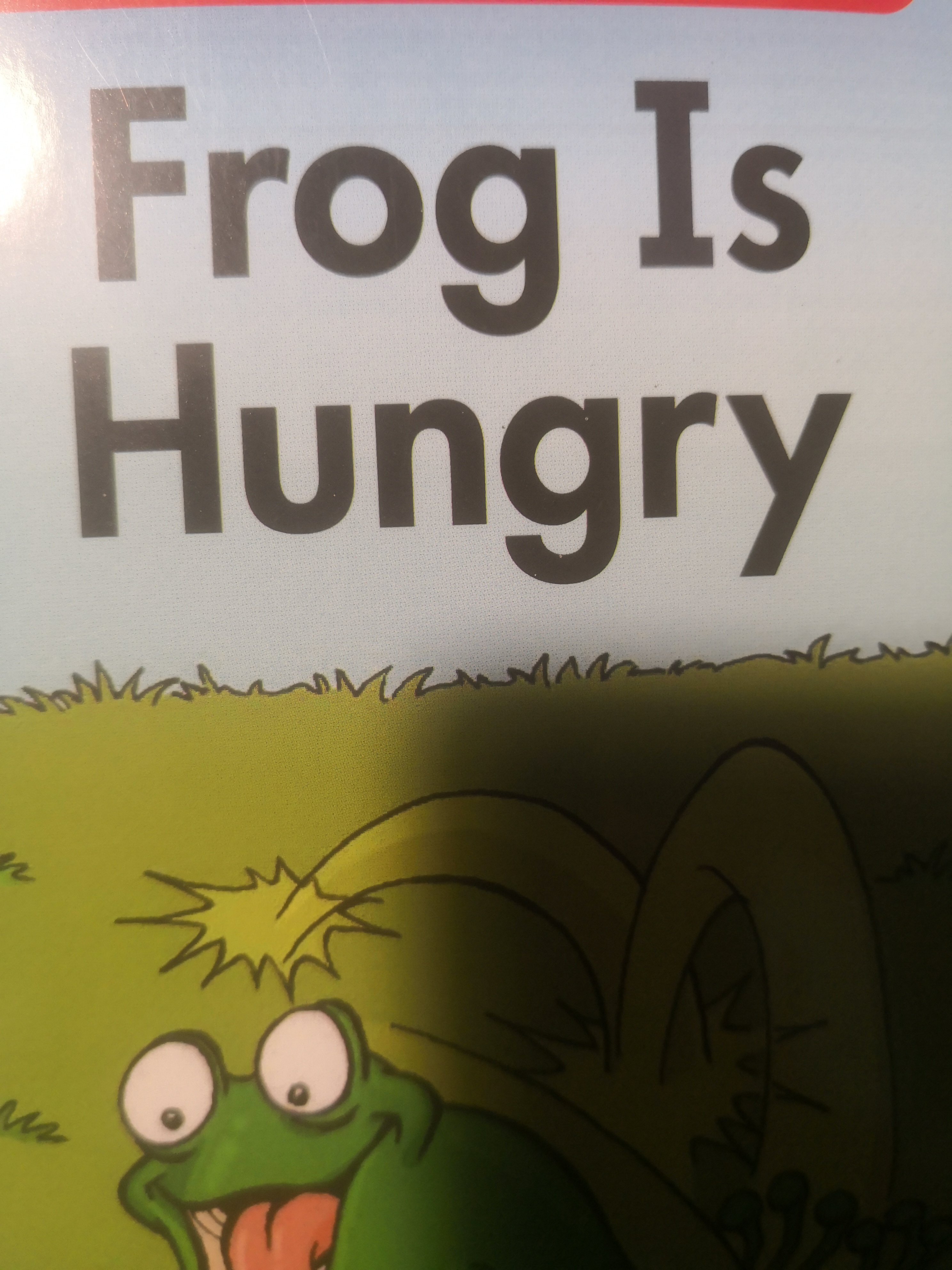 frog is hungry