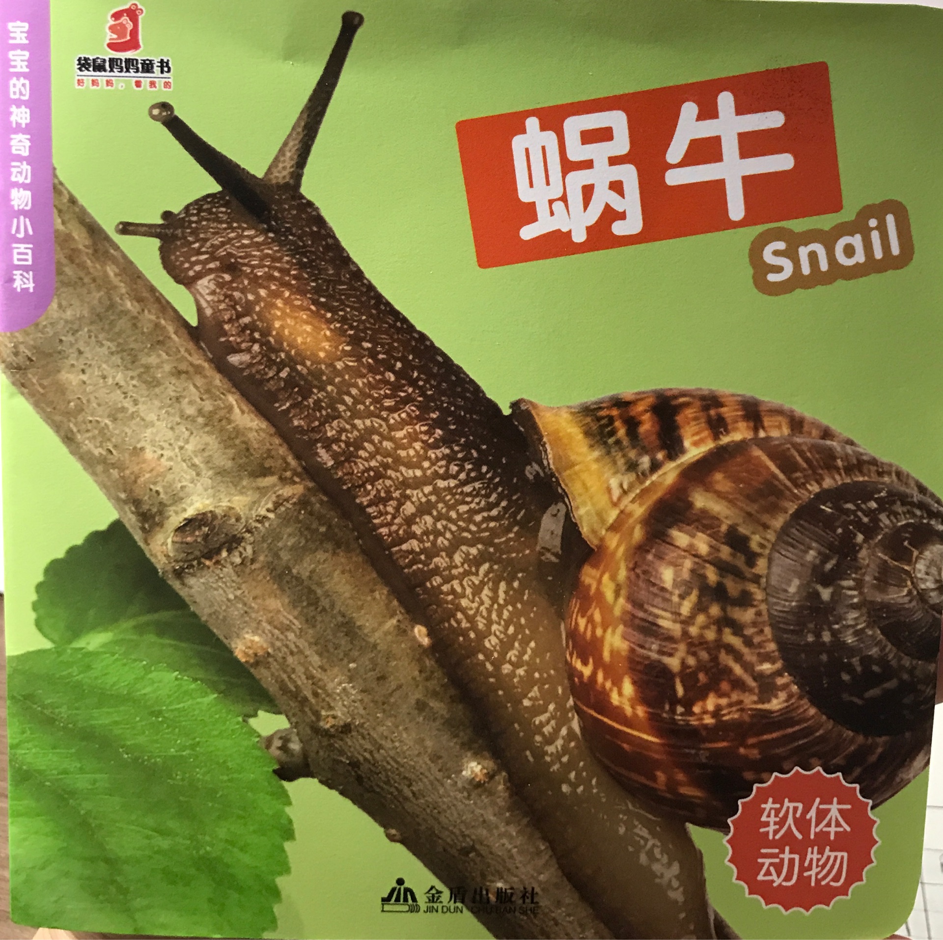 寶寶的神奇動物小百科 蝸牛+蚯蚓