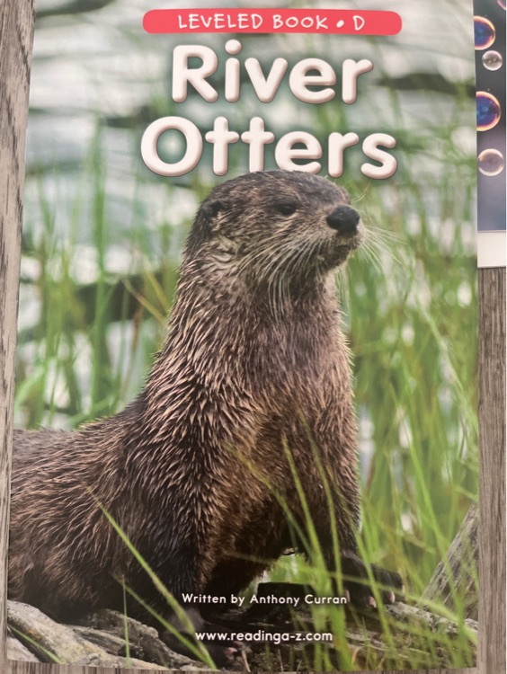 River Otters