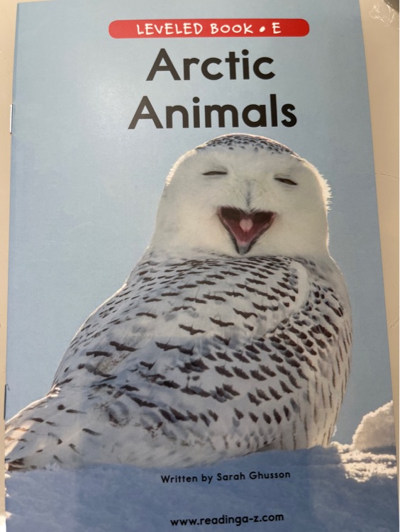 Arctic Animals (RAZ E)