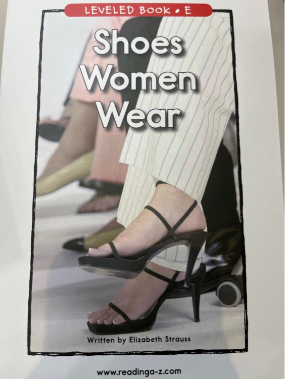 Shoes Women Wear (RAZ E)