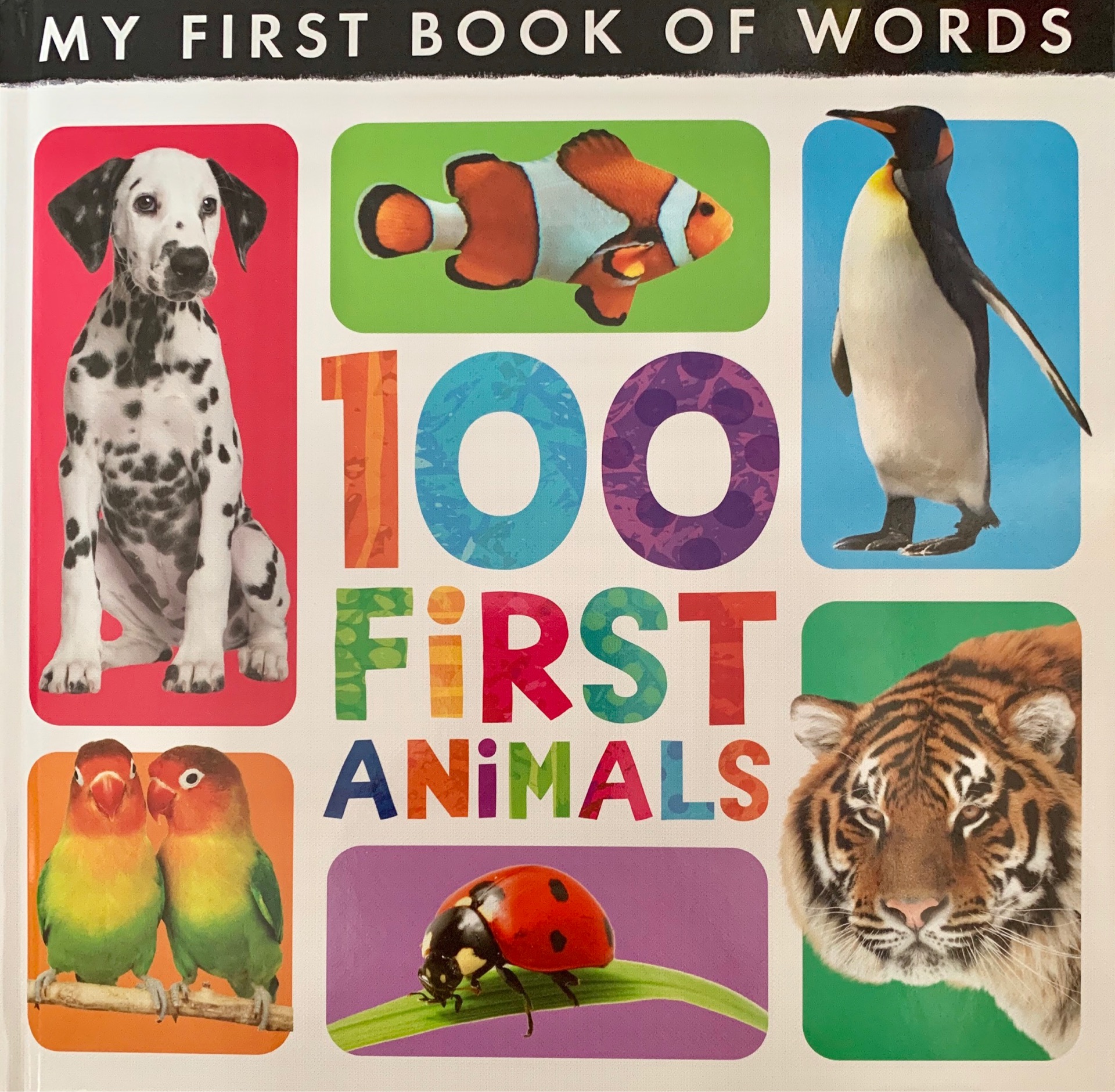 My First Book Of Words—100 First Animals