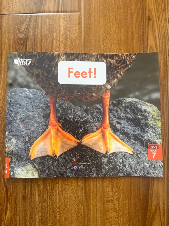 Feet