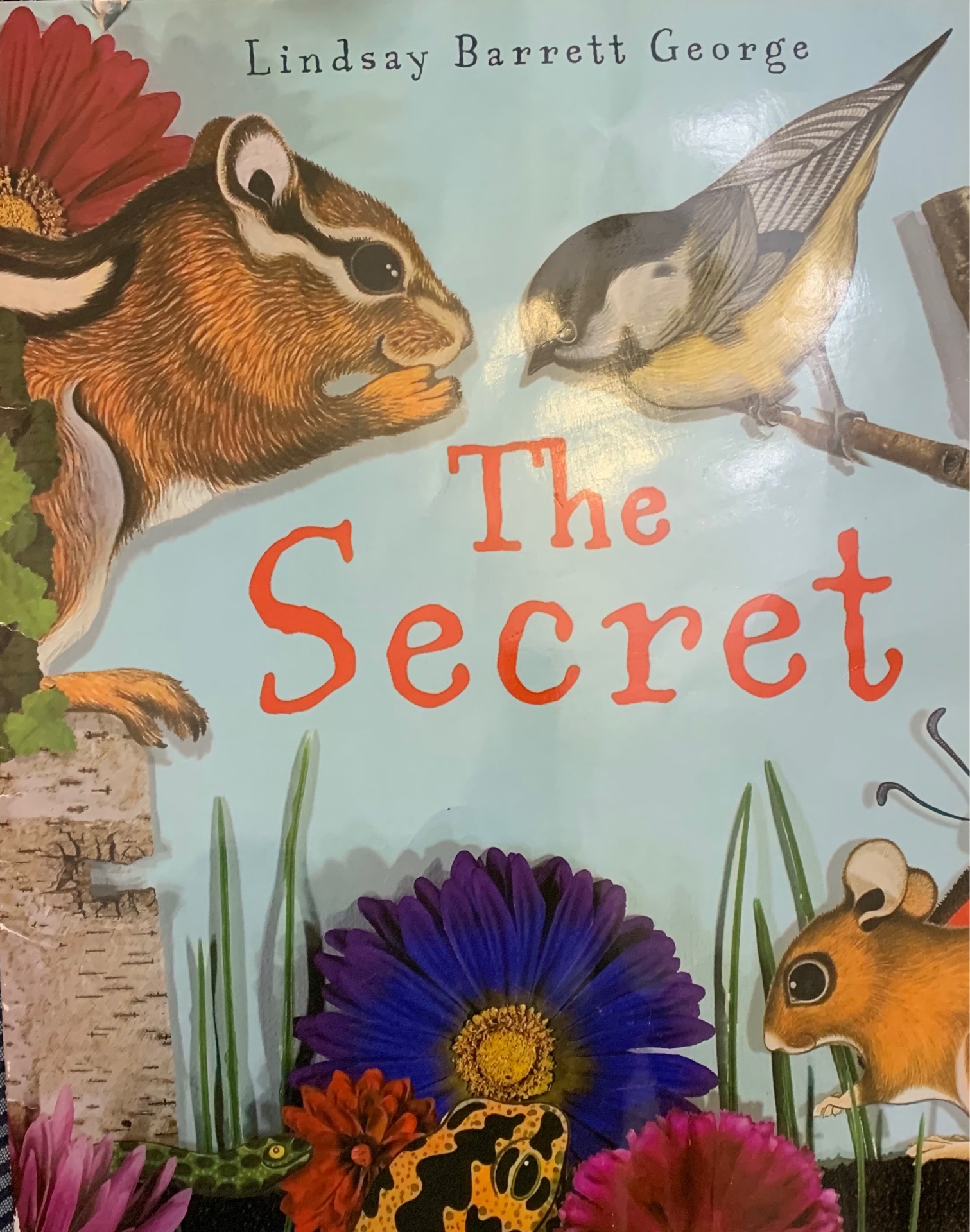 Journeys: Big Book Grade 1 The Secret