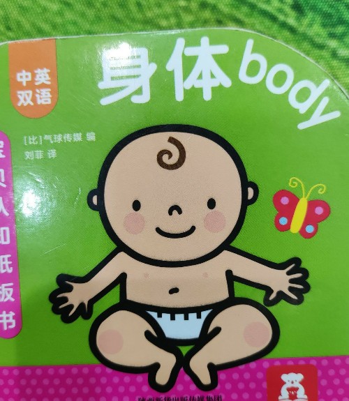 身體body