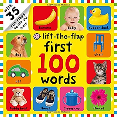 First 100 Words Lift-the-Flap