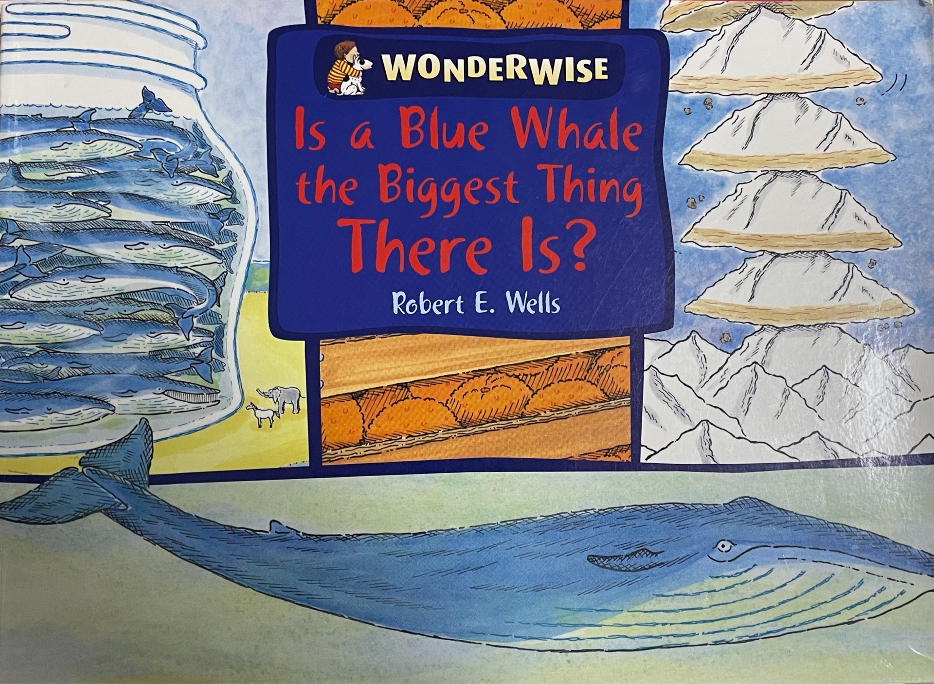 Is A Blue Whale the Biggest Thing There Is?