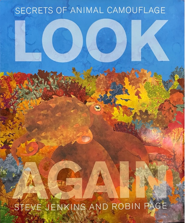 Look again