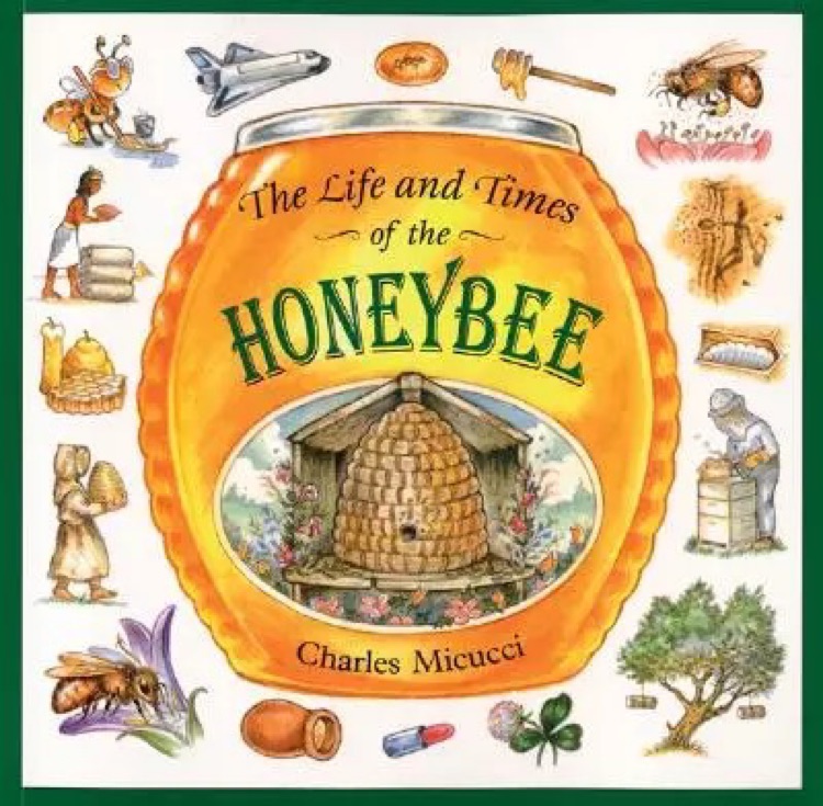 The Life and Times of a Honey Bee