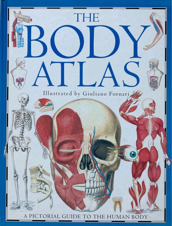 The Body Atlas