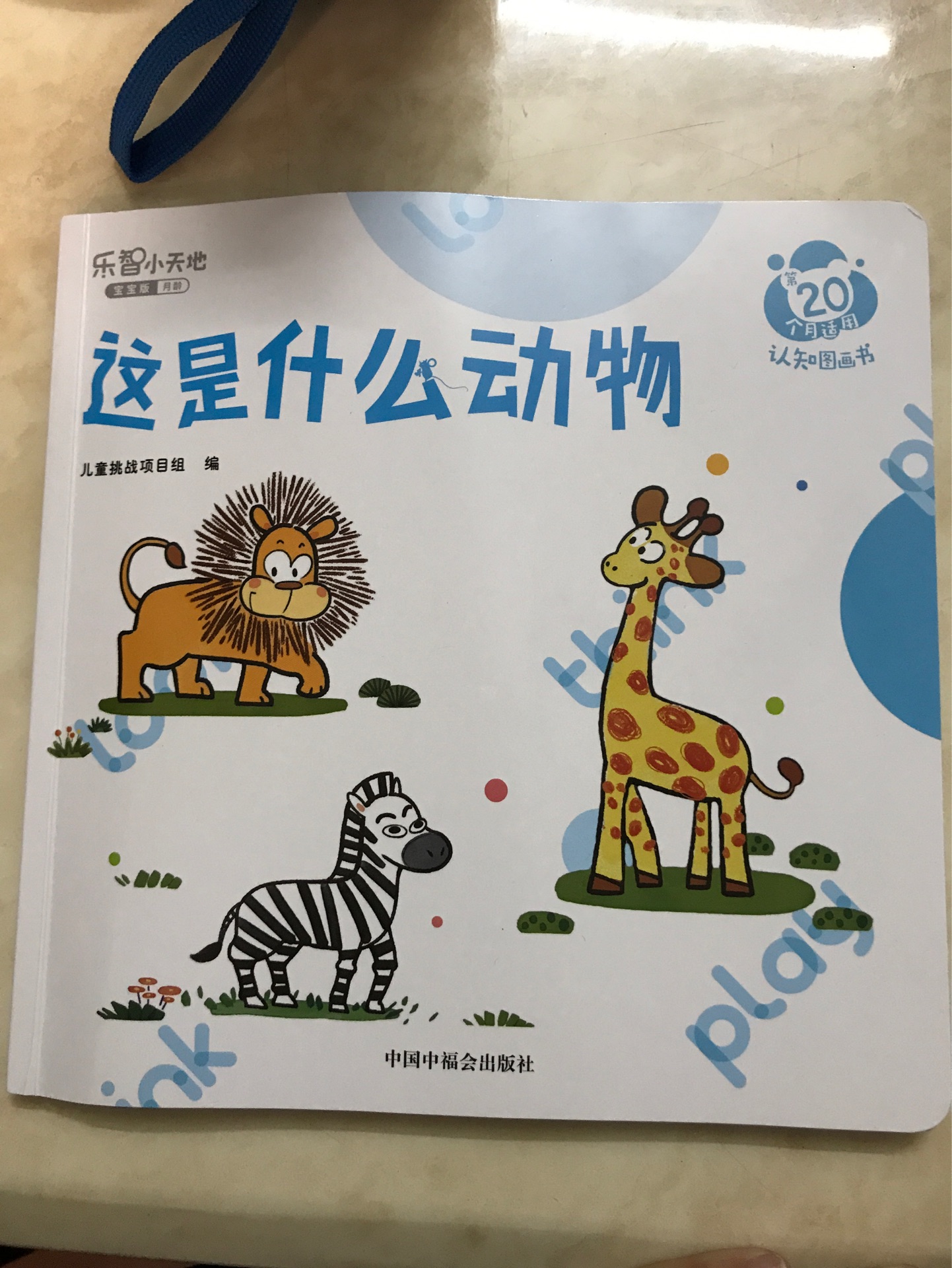 這是什么動物