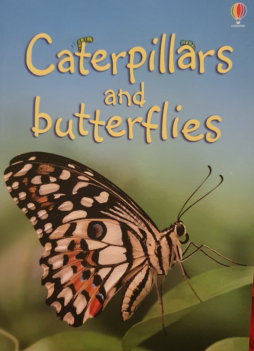 Caterpillars and butterflies