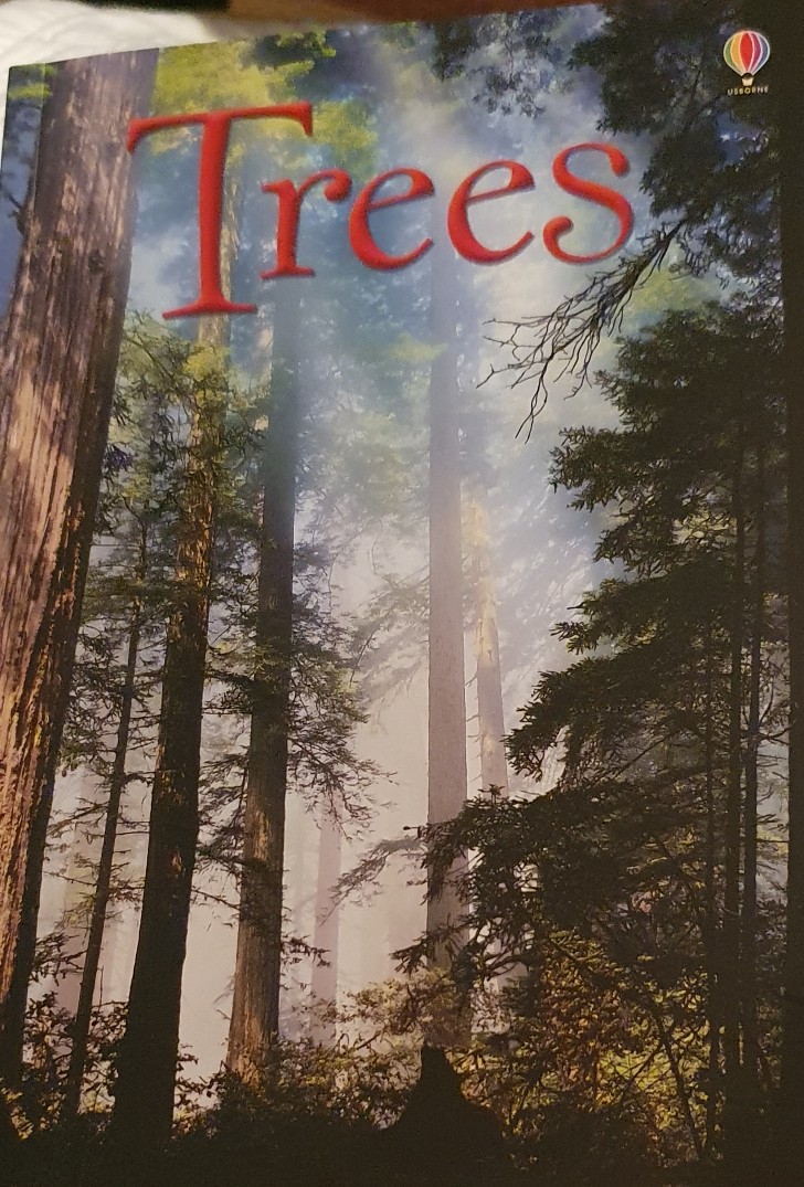 Trees