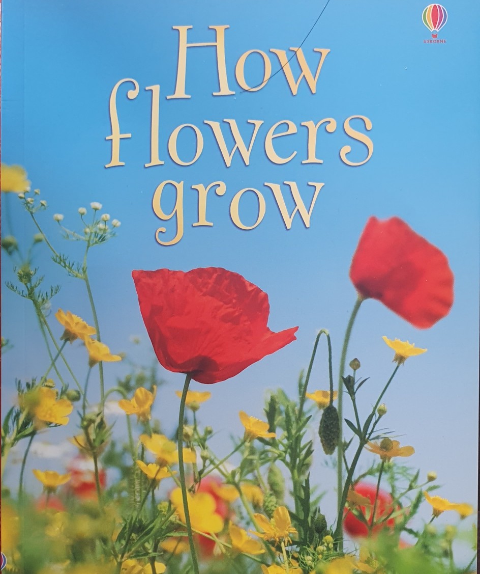 How flowers grow