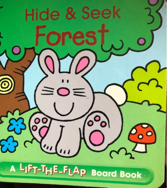 hide and seek  forest