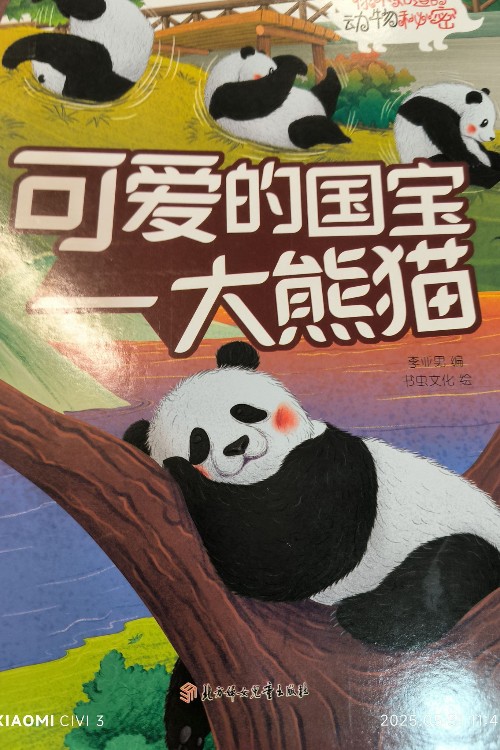 可愛的國(guó)寶大熊貓