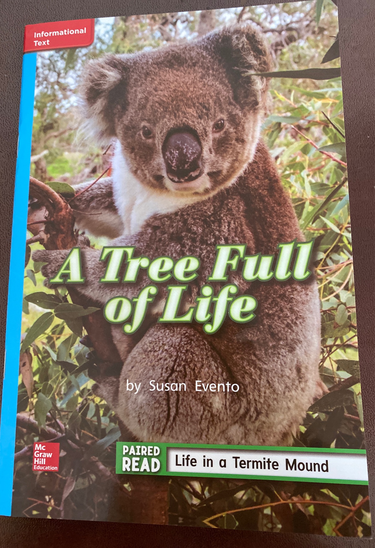 A tree full of life