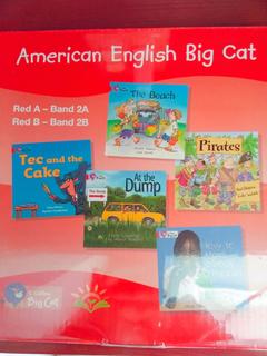 American English Big Cat
