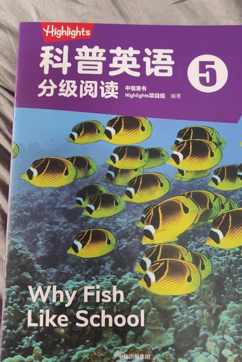 highlights科普英語分級閱讀5 Why fish like school