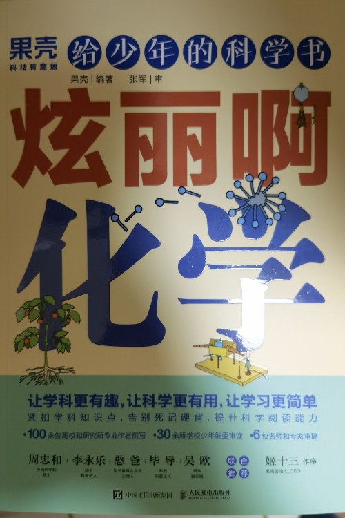 給少年的科學(xué)書(shū): 炫麗啊化學(xué)