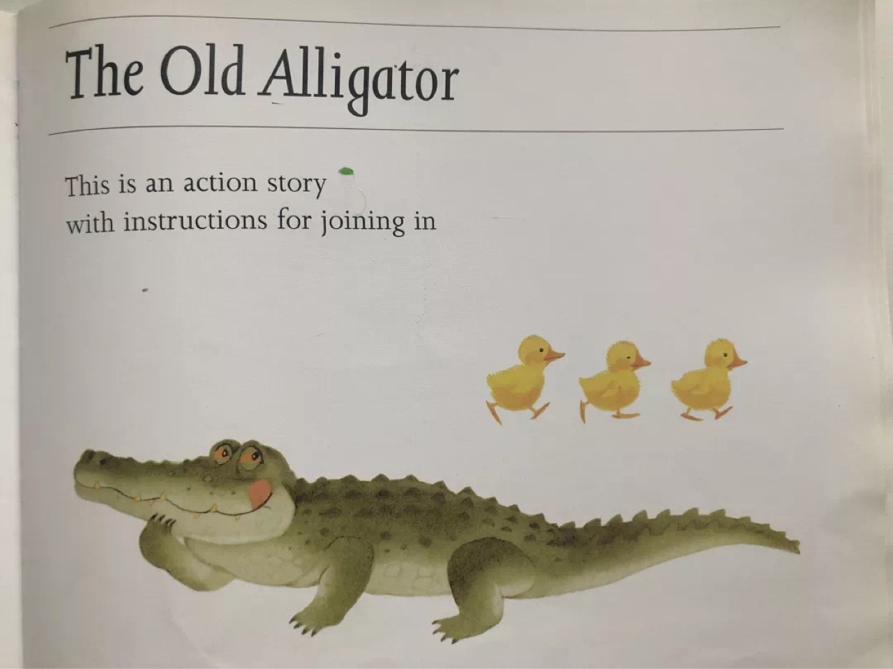 The old alligator