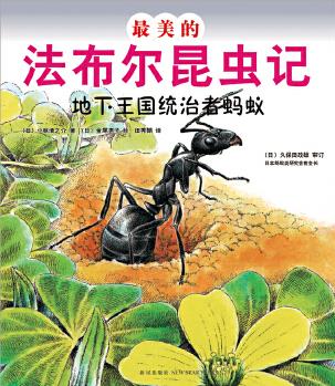 最美的法布爾昆蟲(chóng)記：地下王國(guó)統(tǒng)治者螞蟻