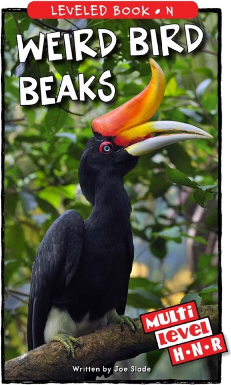 Weird Bird Beaks (RAZ N)