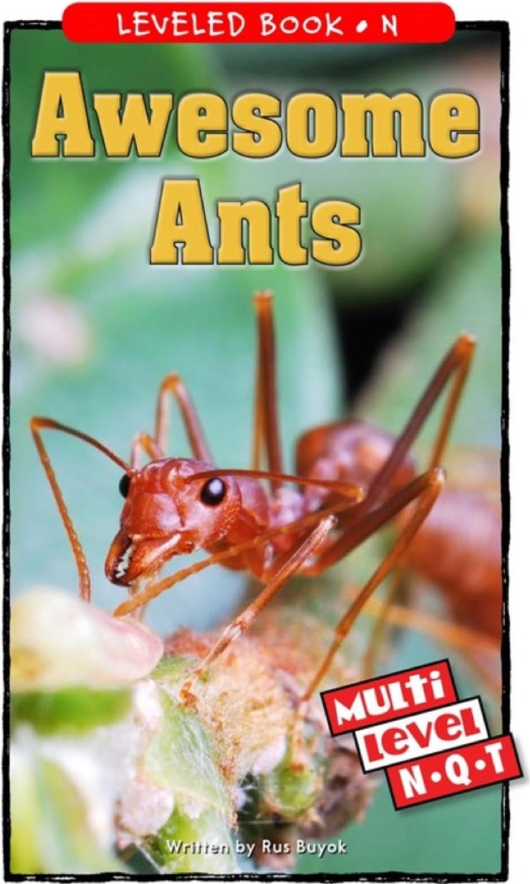 Awesome Ants (RAZ N)