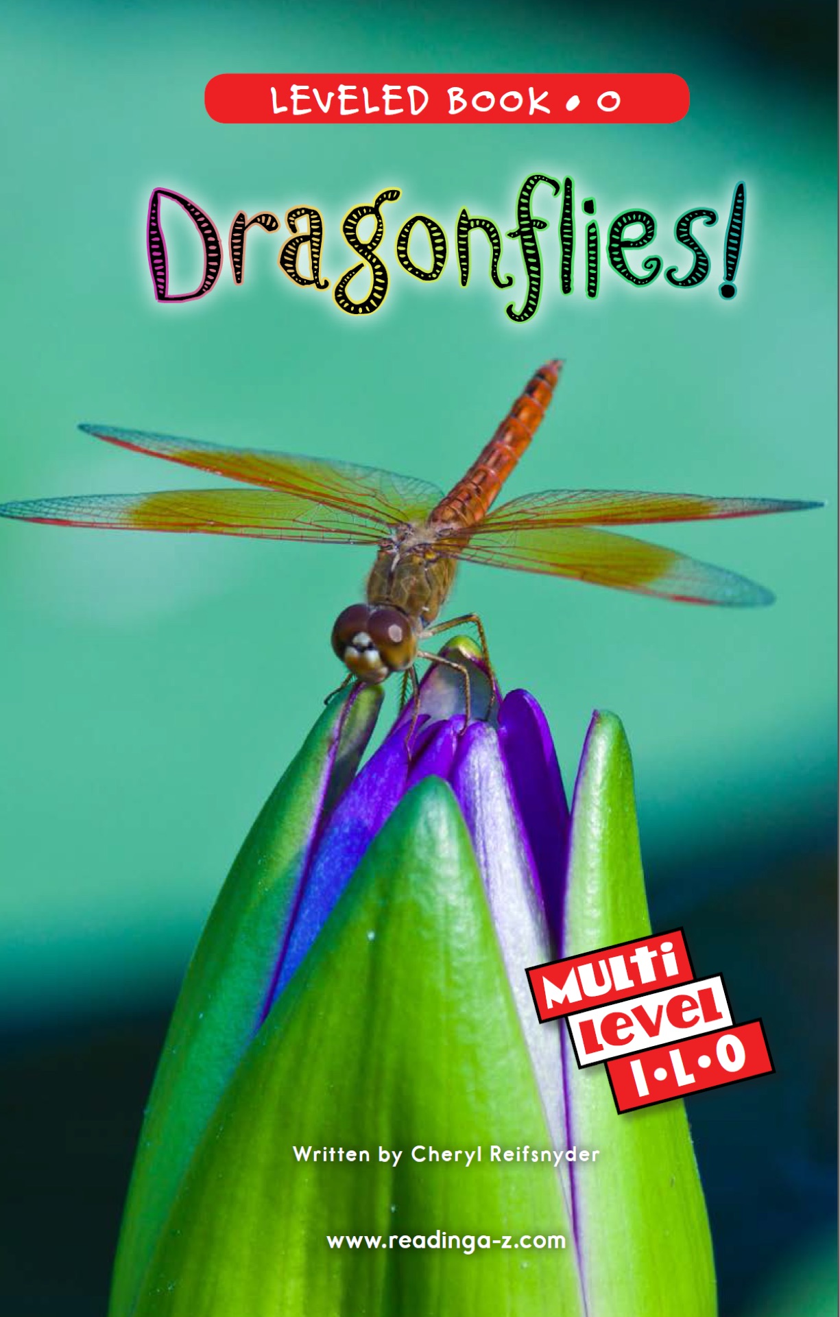 Dragonflies! (RAZ O)