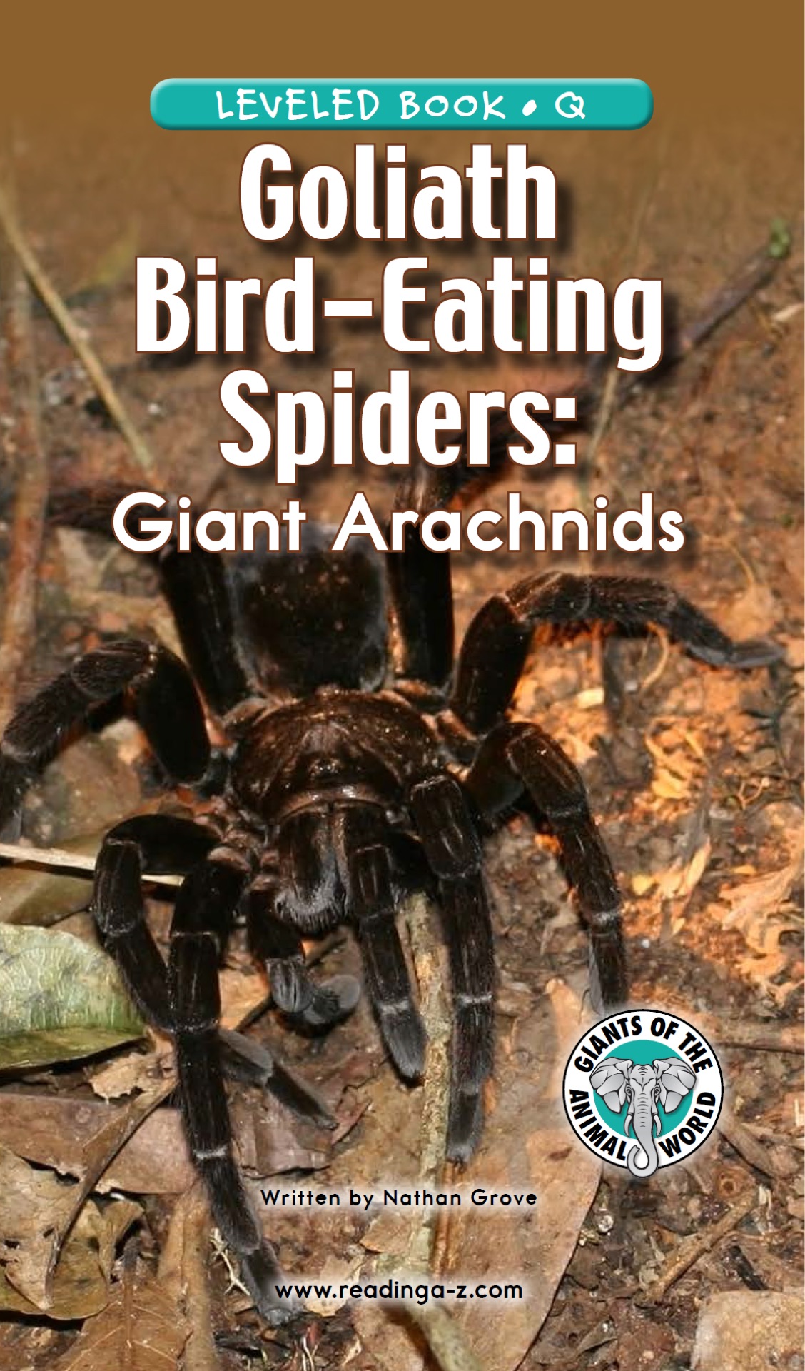 Goliath Bird-Eating Spiders: Giant Arachnids (RAZ Q)