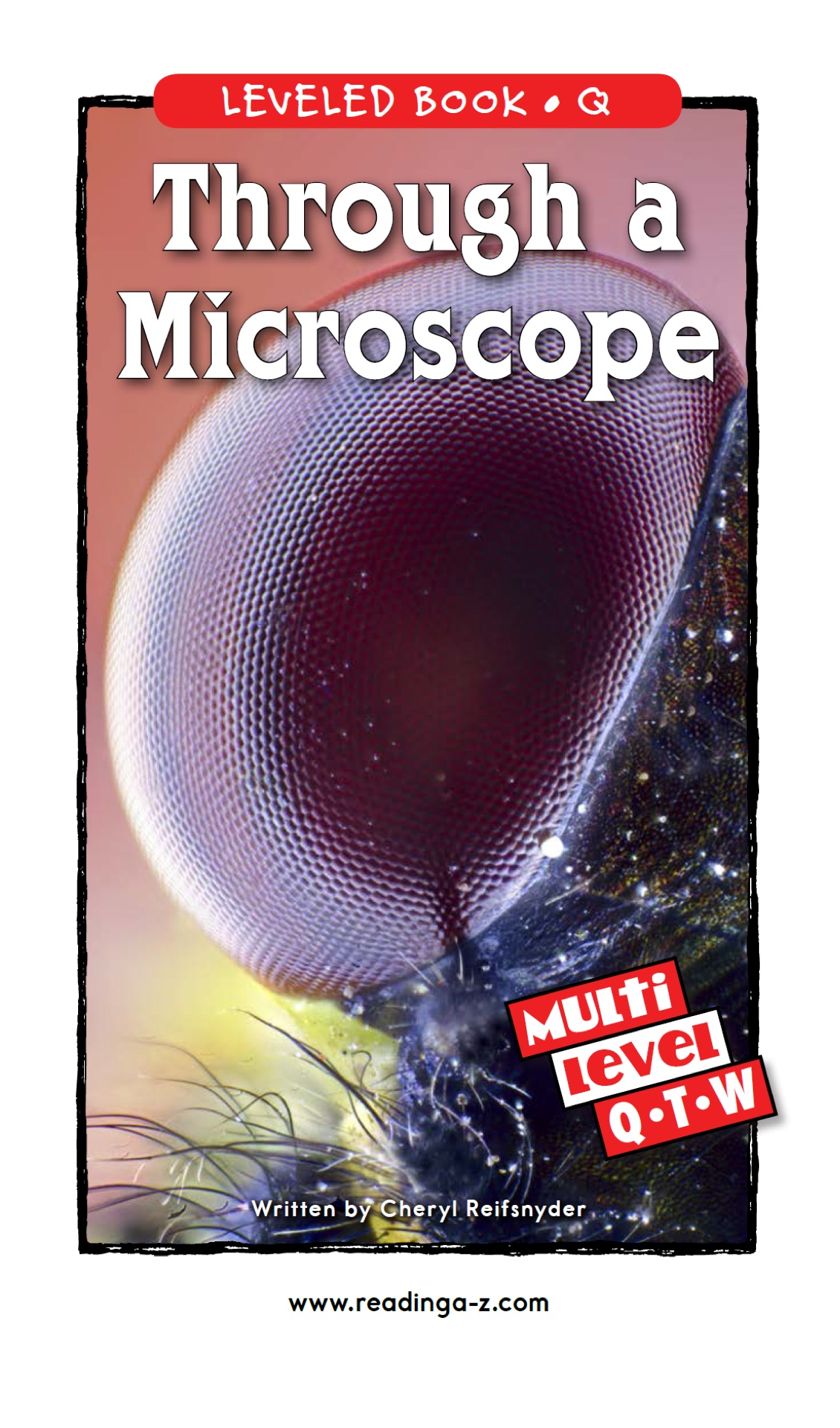 Through a Microscope(RAZ Q)