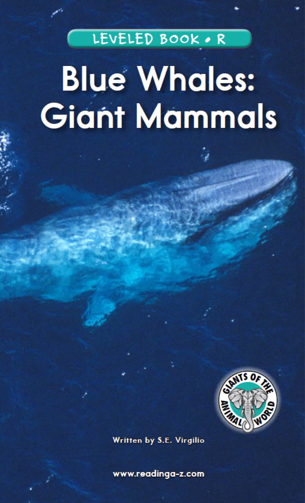 Blue Whales: Giant Mammals (RAZ R)